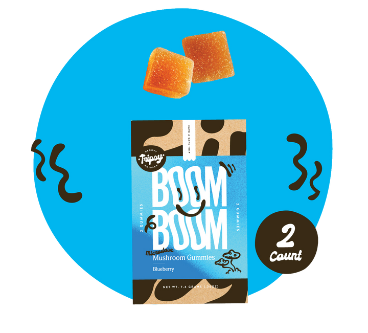 BOOM BOOM mushroom gummies pouch (Tripsy Edibles) in blueberry flavor labeled “microdose,” with two gummies shown above, on a blue background with decorative accents and a “2 count” badge.